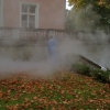 Eesti presidendiloss, Kadriorg, Tallinn 2006